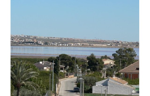 Rynek pierwotny - Villa - Los Montesinos - La herrada