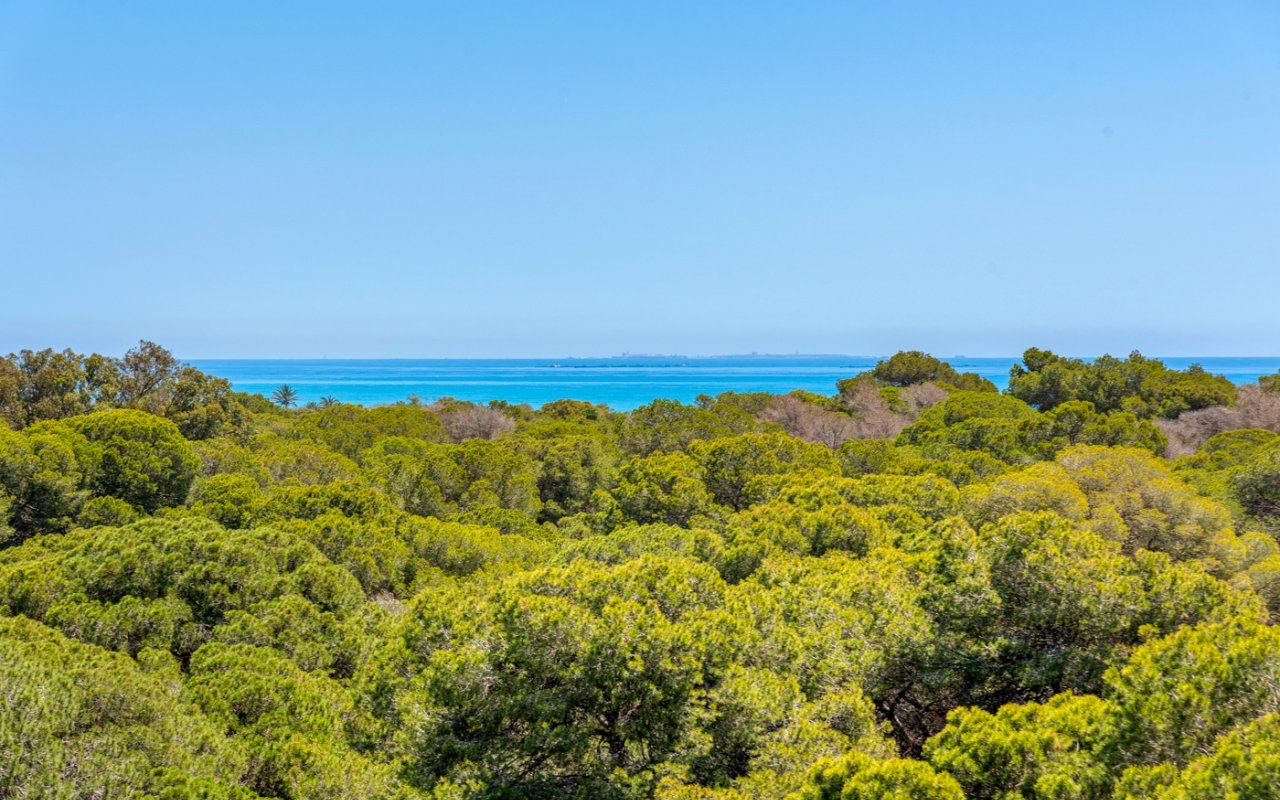 New Build - Apartment - Guardamar del Segura - Puerto Deportivo