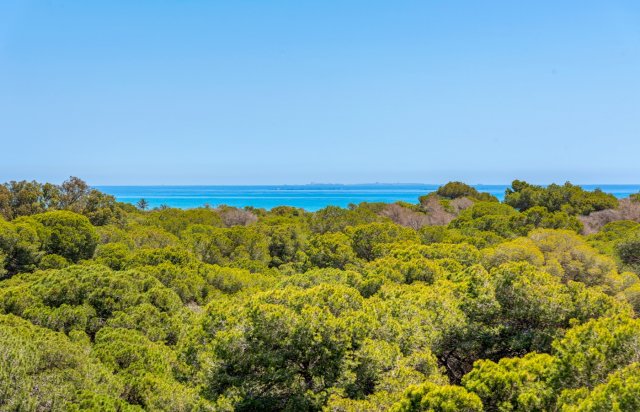 New Build - Apartment - Guardamar del Segura - Puerto Deportivo