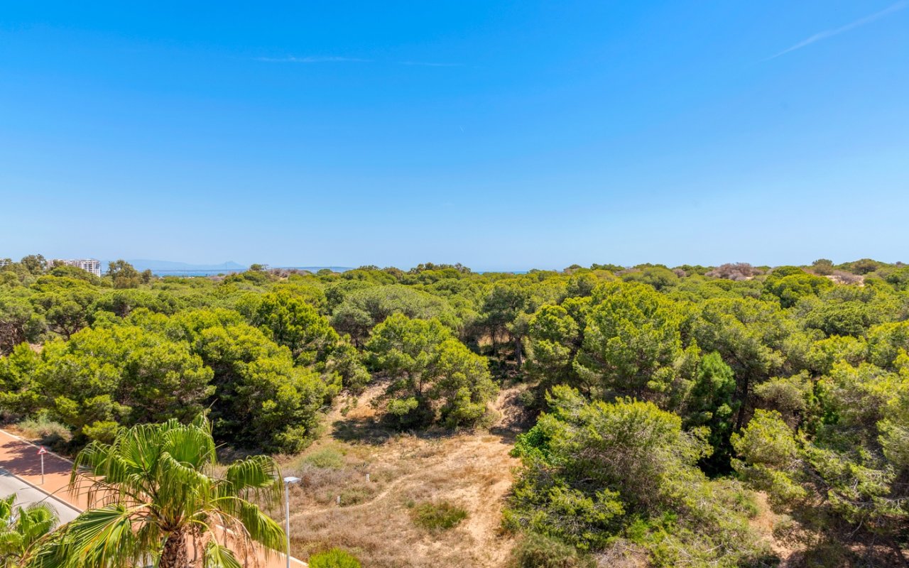 New Build - Apartment - Guardamar del Segura - Puerto Deportivo