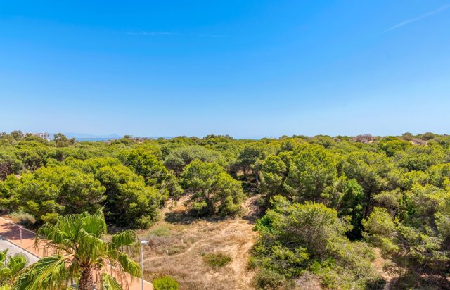 New Build - Apartment - Guardamar del Segura - Puerto Deportivo