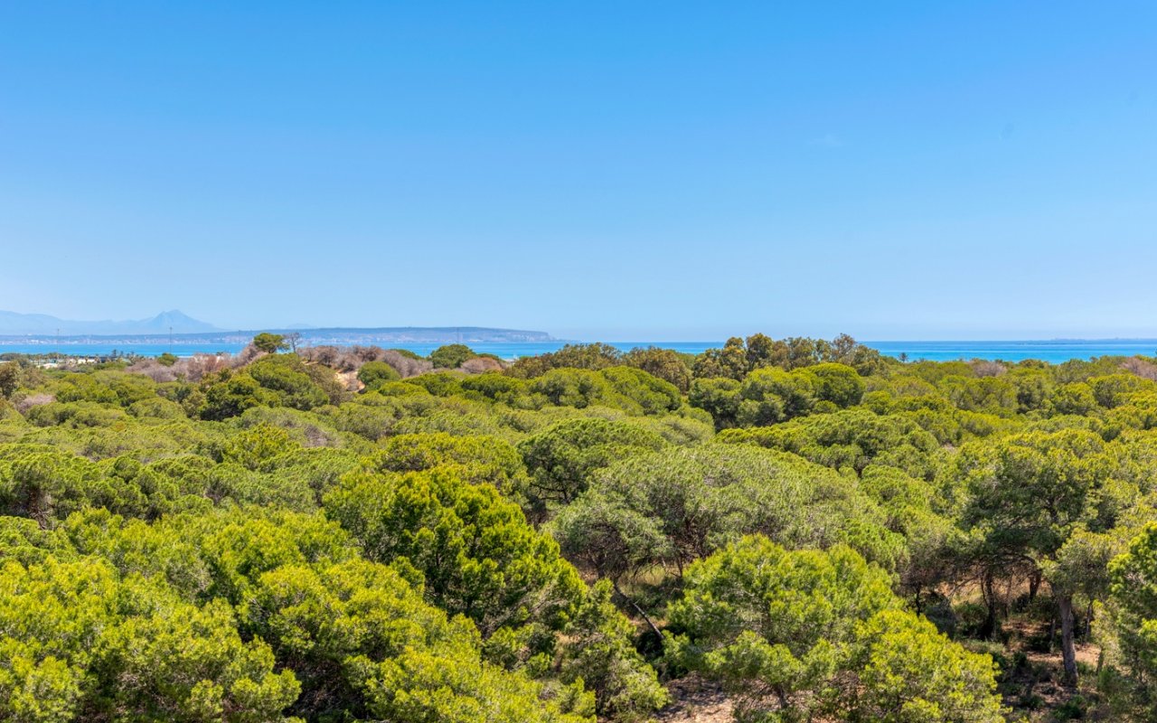 New Build - Apartment - Guardamar del Segura - Puerto Deportivo