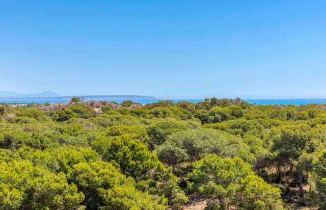 New Build - Apartment - Guardamar del Segura - Puerto Deportivo