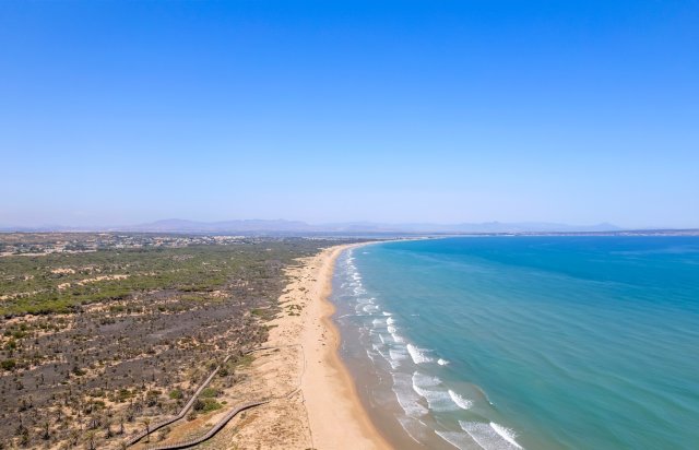 New Build - Apartment - Guardamar del Segura - Puerto Deportivo