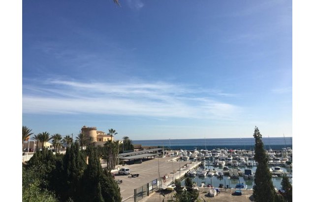 Rynek pierwotny - Villa - Pilar de la Horadada - Las Higuericas