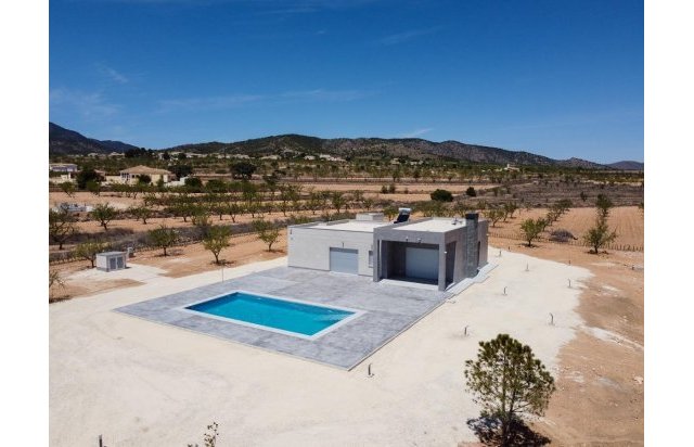 Obra nueva - Villa - Pinoso - Camino Del Prado