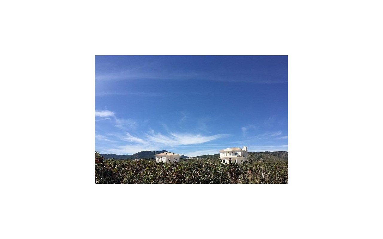 Rynek pierwotny - Villa - Pinoso - Camino Del Prado