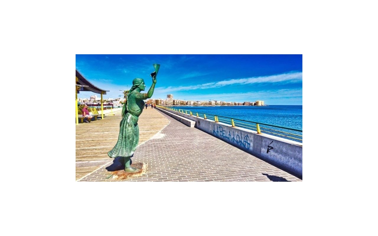 Rynek pierwotny - Villa - Torrevieja - Aguas Nuevas