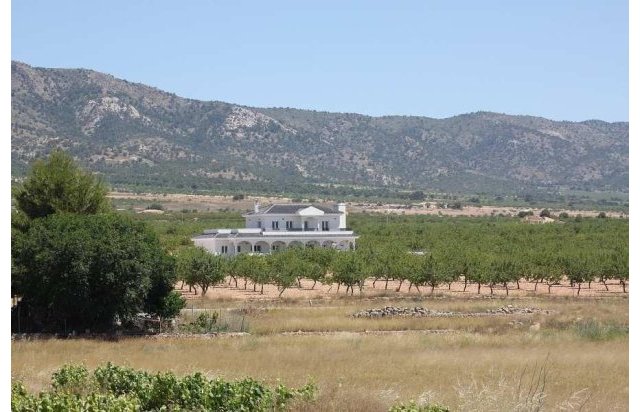 Obra nueva - Villa - Pinoso - Camino Del Prado