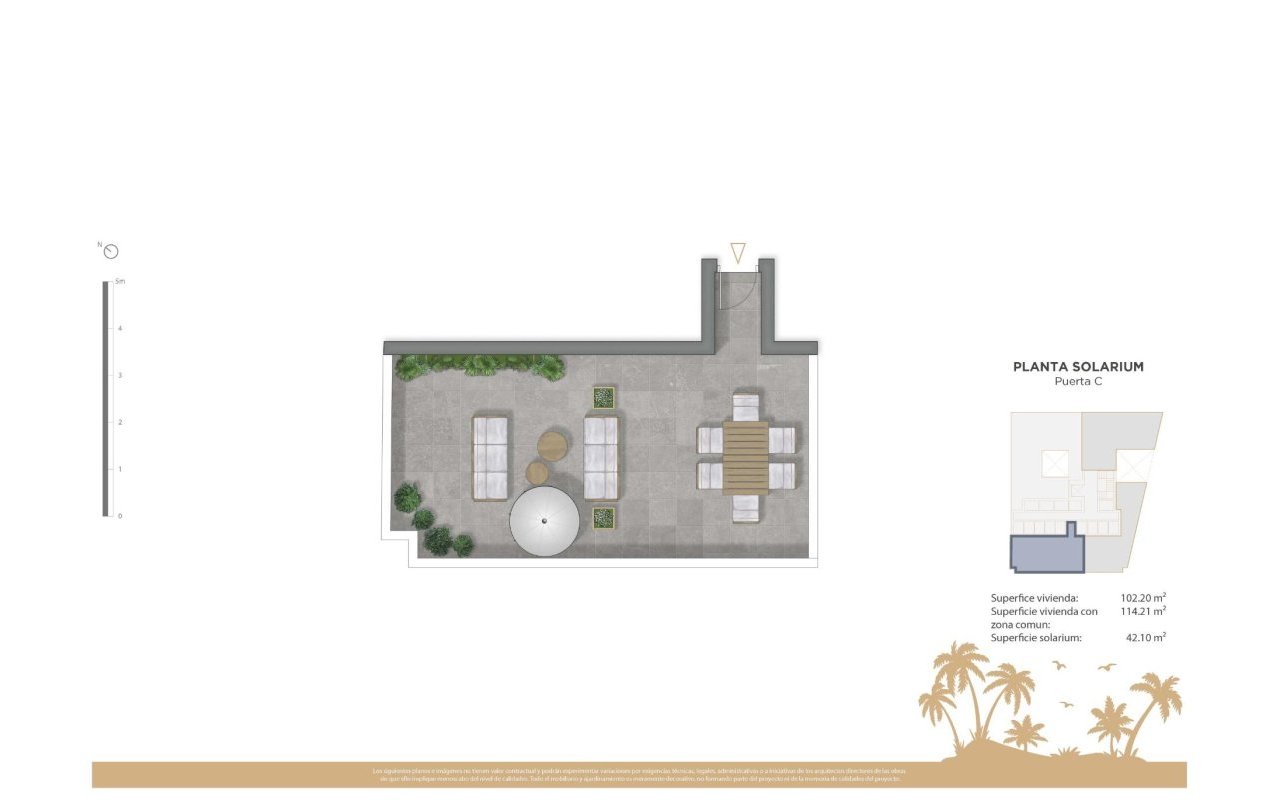 Rynek pierwotny - Daszek - Guardamar del Segura - Pueblo