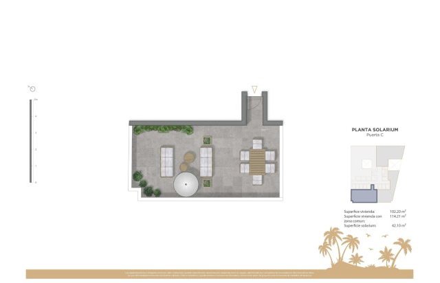 Rynek pierwotny - Daszek - Guardamar del Segura - Pueblo