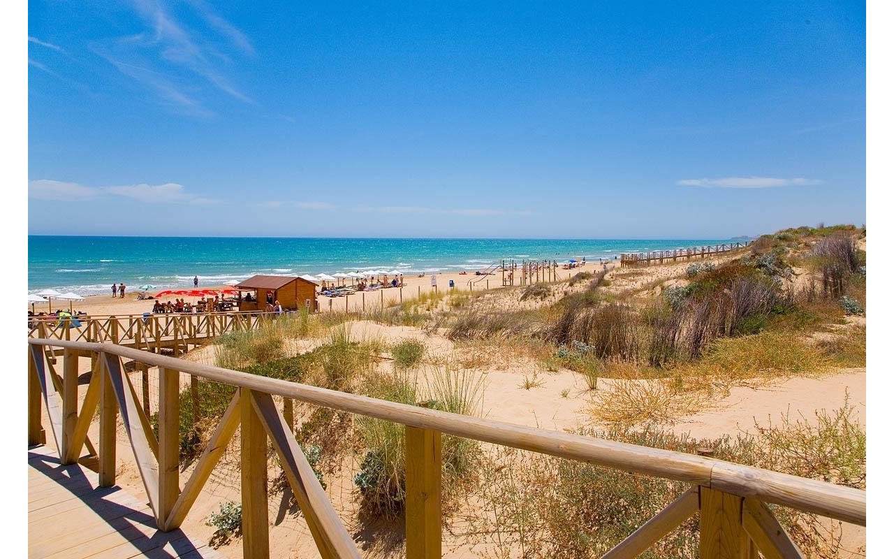 Rynek pierwotny - Daszek - Guardamar del Segura - Pueblo