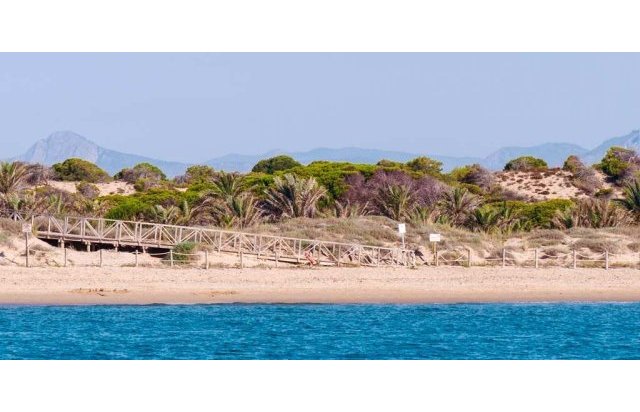 Rynek pierwotny - Apartament - Guardamar del Segura - Pueblo