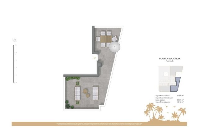 Rynek pierwotny - Daszek - Guardamar del Segura - Pueblo