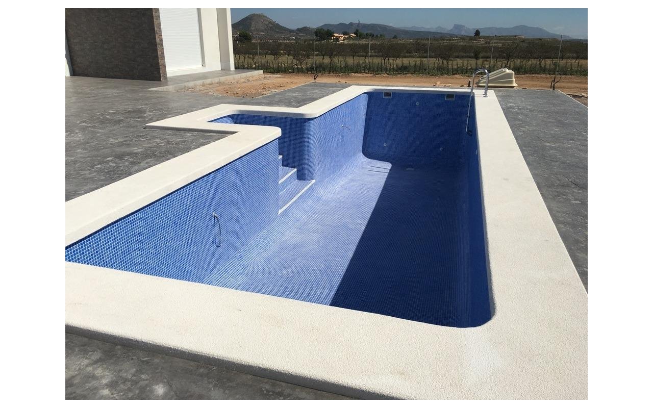 Obra nueva - Villa - Pinoso - Camino Del Prado