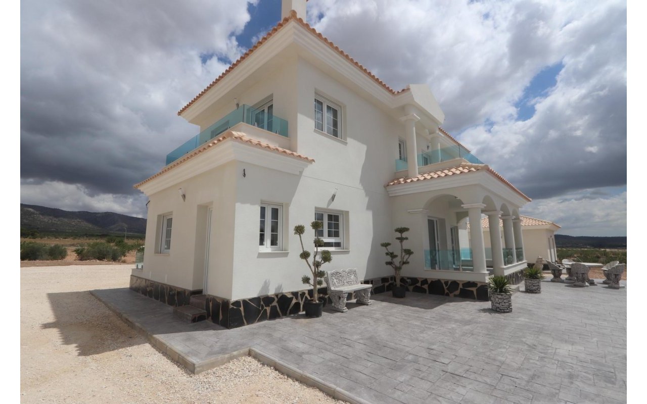 Obra nueva - Villa - Pinoso - Camino Del Prado