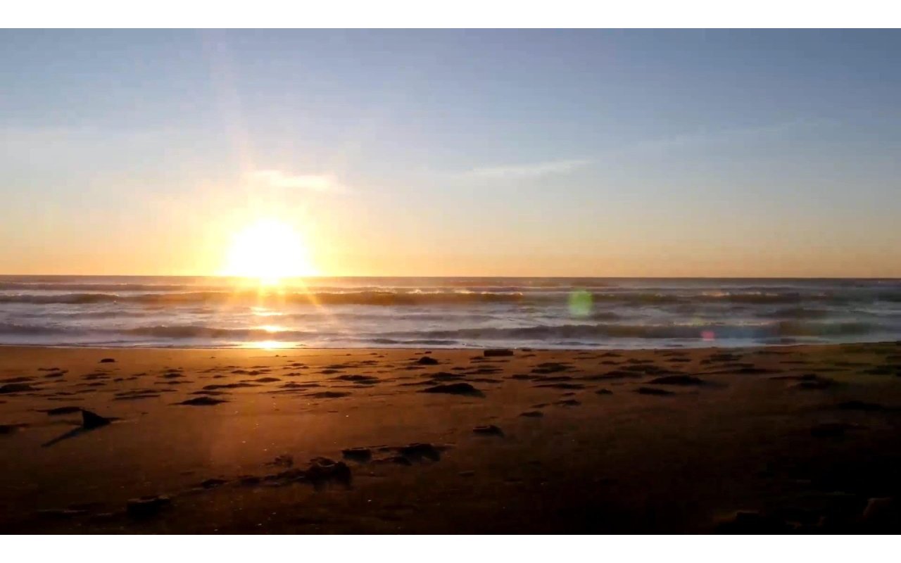 Obra nueva - Piso - Torrevieja - Centro