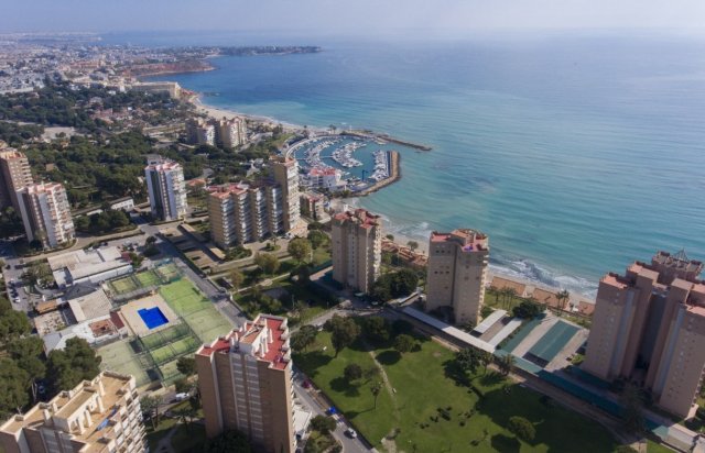 Rynek pierwotny - Apartament - Orihuela Costa - Campoamor