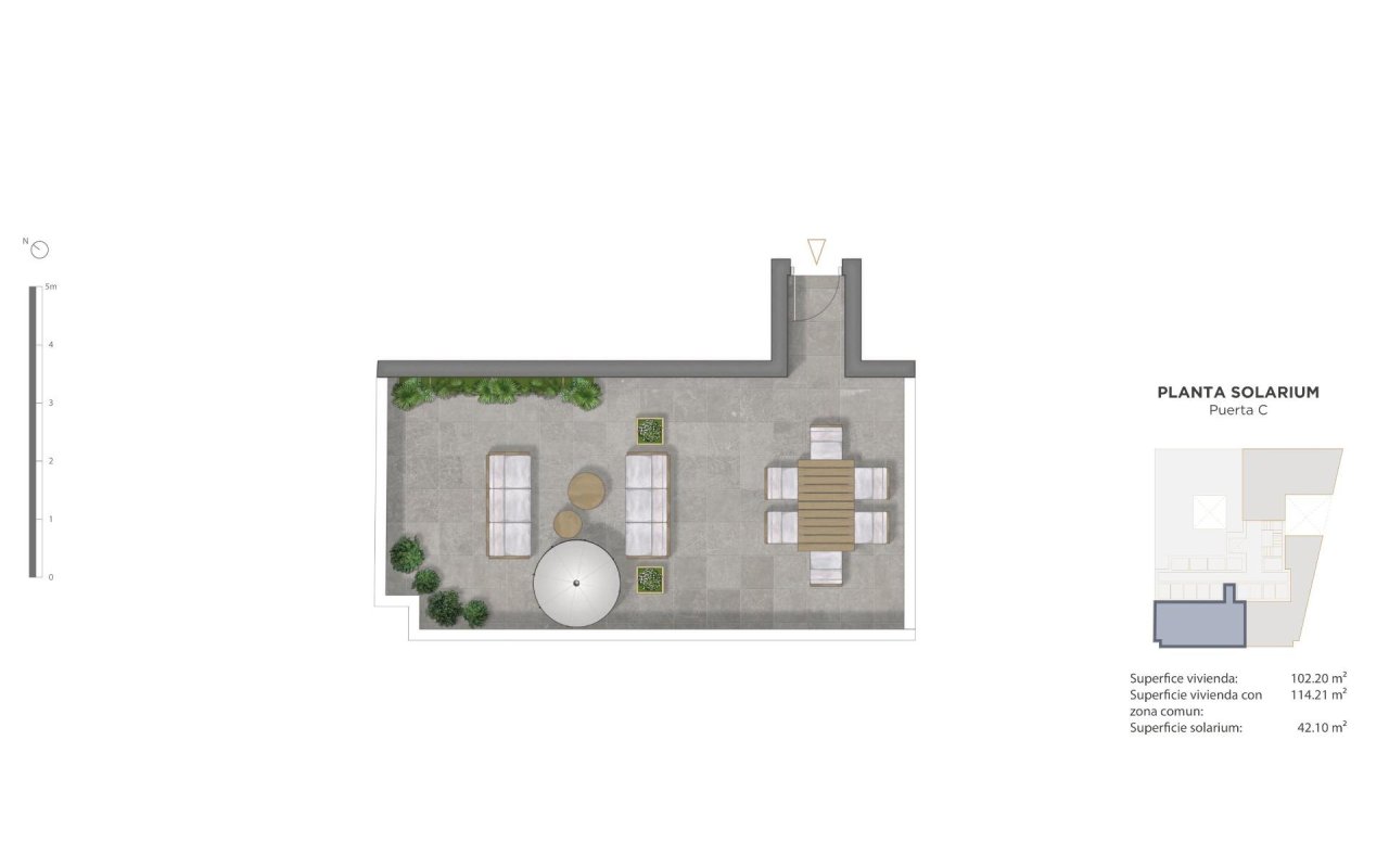 Obra nueva - Ático - Guardamar del Segura - Pueblo
