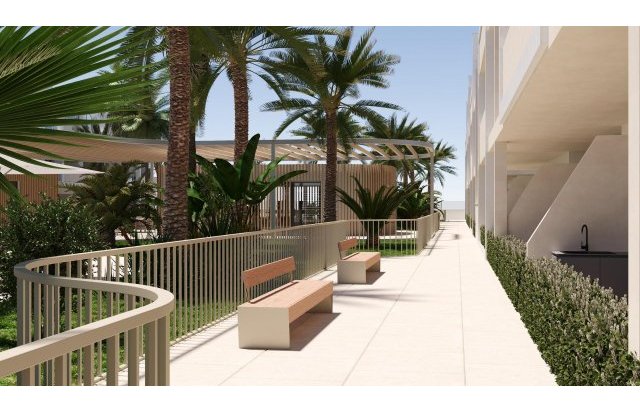 Rynek pierwotny - Daszek - Torre Pacheco - San Cayetano