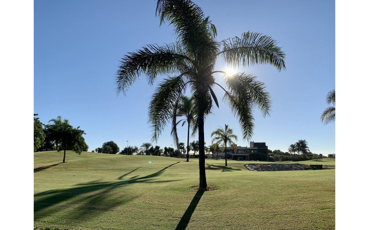 Obra nueva - Bungalow - San Javier - Roda Golf