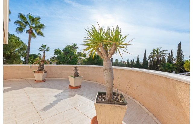 Rynek wtórny - Szalet - Ciudad Quesada - Rojales - Doña pepa