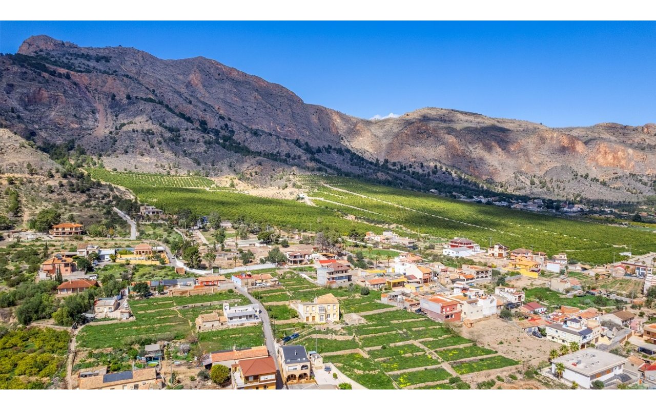 Reventa - Finca - Orihuela