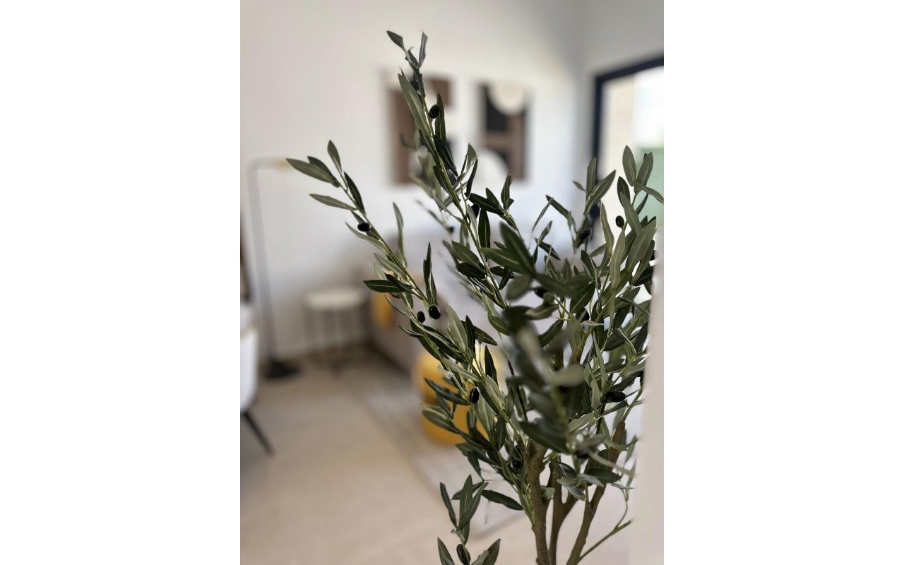 Obra nueva - Bungalow - San Fulgencio - Pueblo