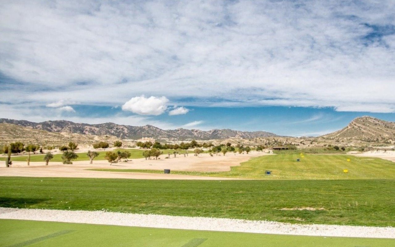 New Build - Villa - BAÑOS Y MENDIGO - Altaona Golf