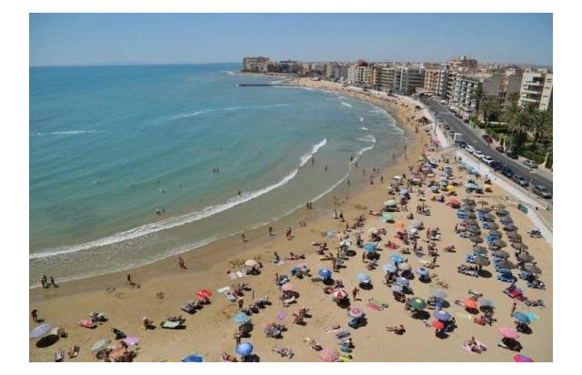 Obra nueva - Piso - Torrevieja - Habaneras