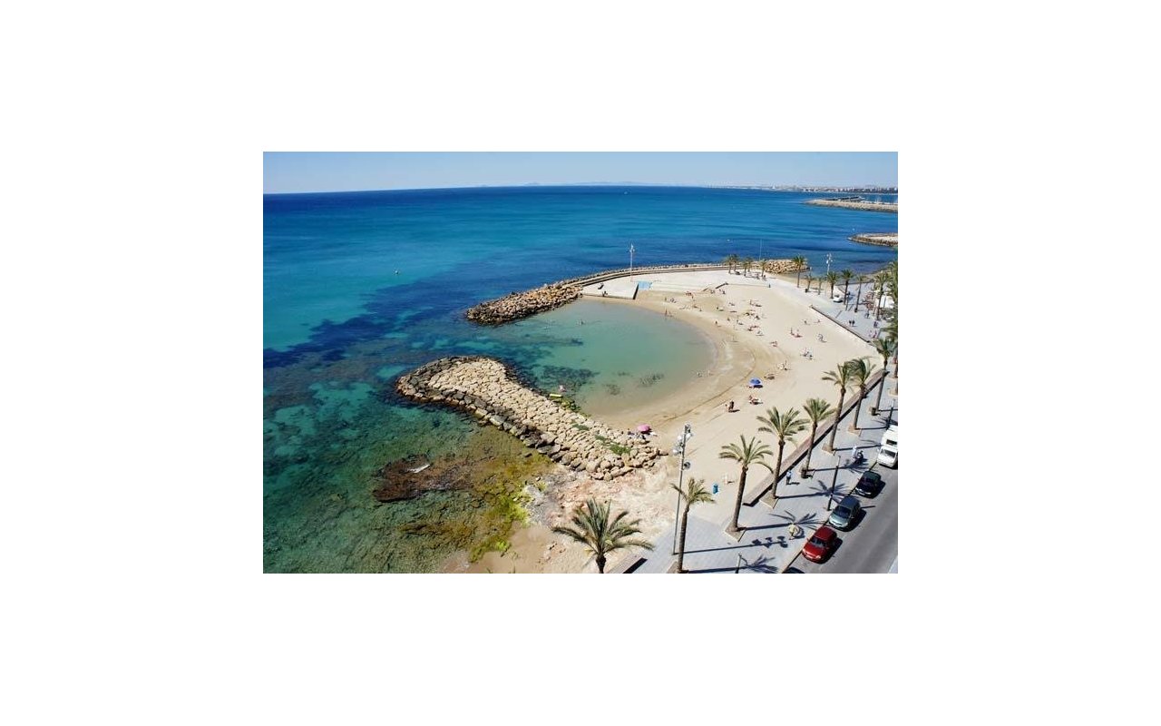 Obra nueva - Piso - Torrevieja - Habaneras