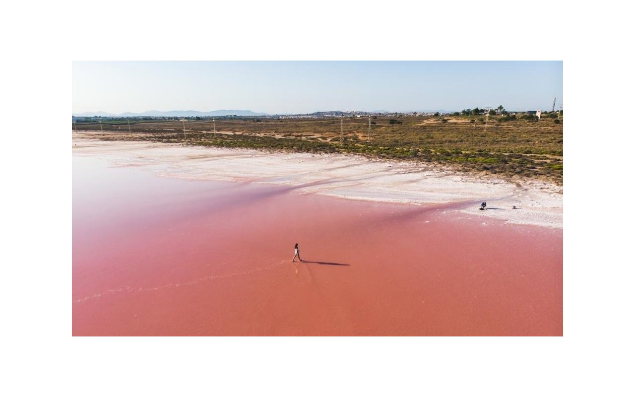Obra nueva - Piso - Torrevieja - Habaneras