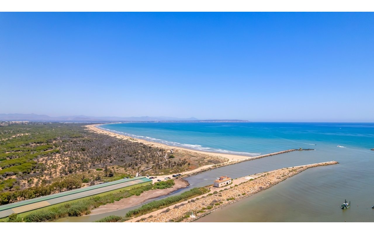 Obra nueva - Piso - Guardamar del Segura - Puerto Deportivo