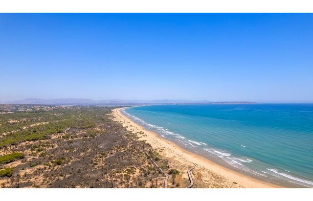 Obra nueva - Piso - Guardamar del Segura - Puerto Deportivo