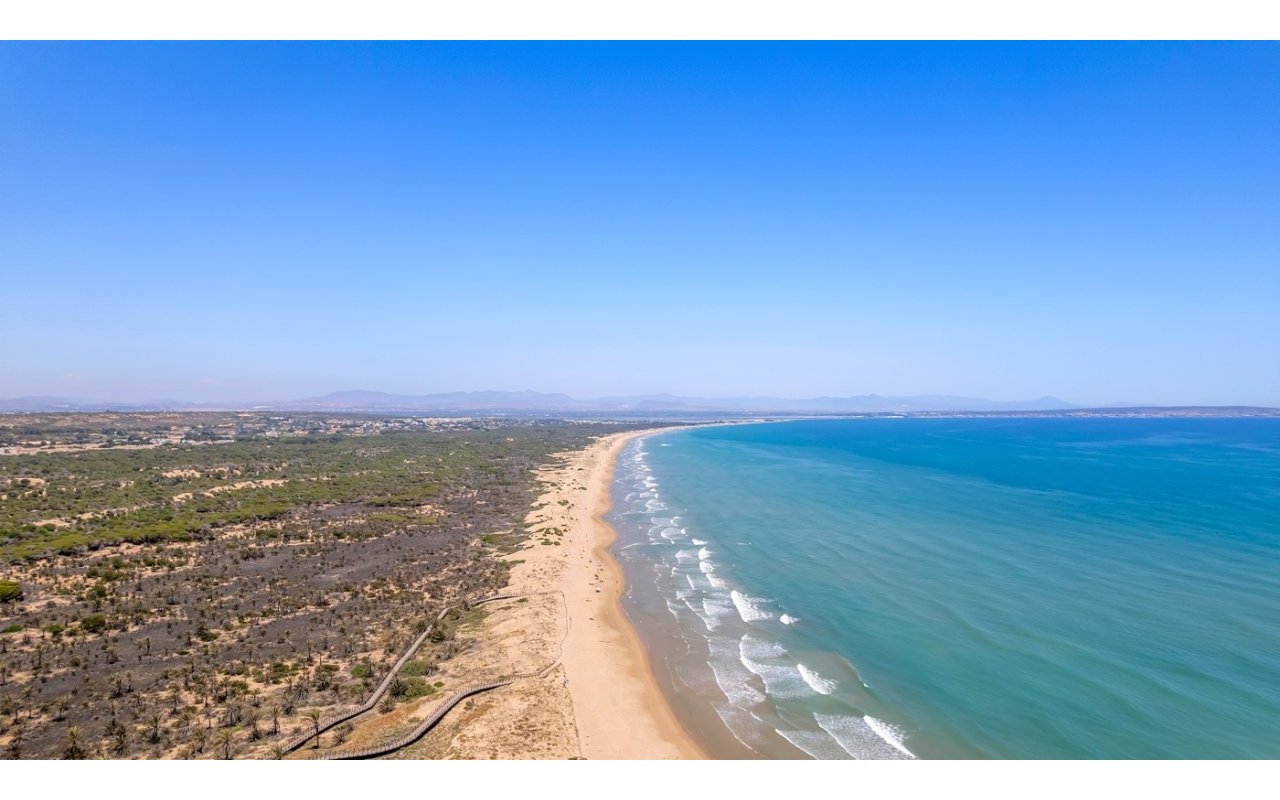 Obra nueva - Piso - Guardamar del Segura - Puerto Deportivo