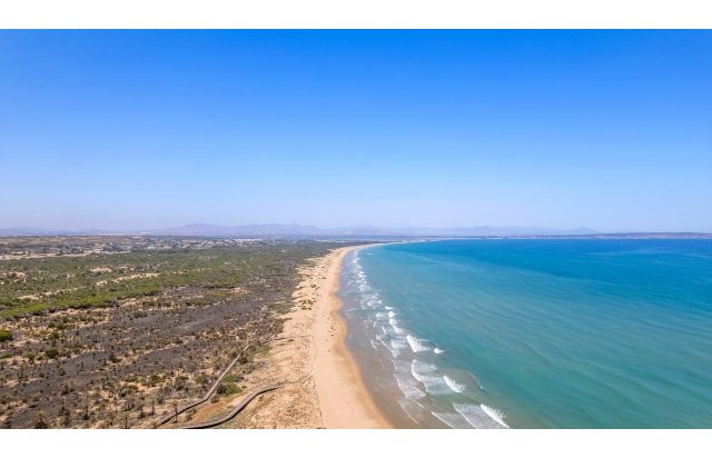 Obra nueva - Piso - Guardamar del Segura - Puerto Deportivo
