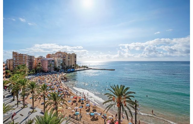 Reventa - Piso - Torrevieja