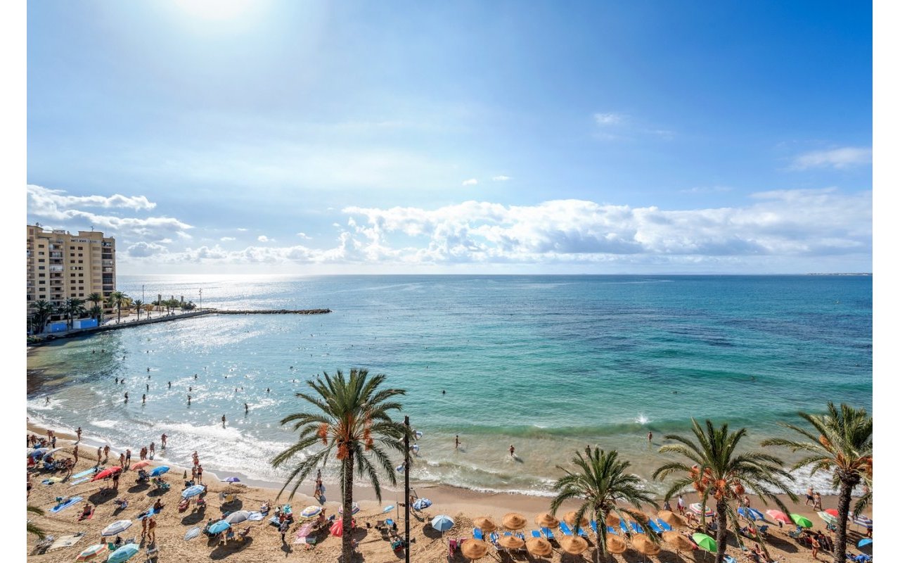 Reventa - Piso - Torrevieja