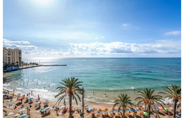 Reventa - Piso - Torrevieja