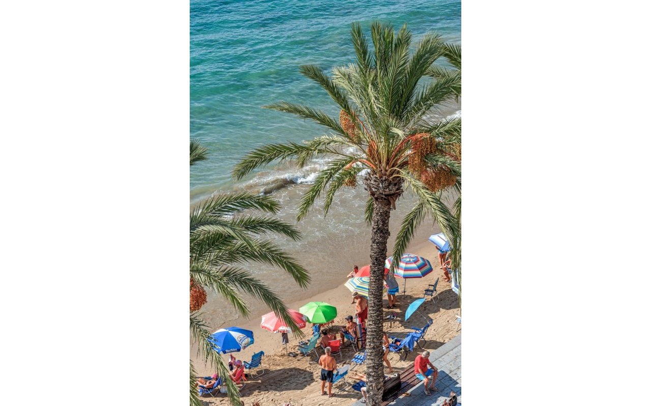 Reventa - Piso - Torrevieja