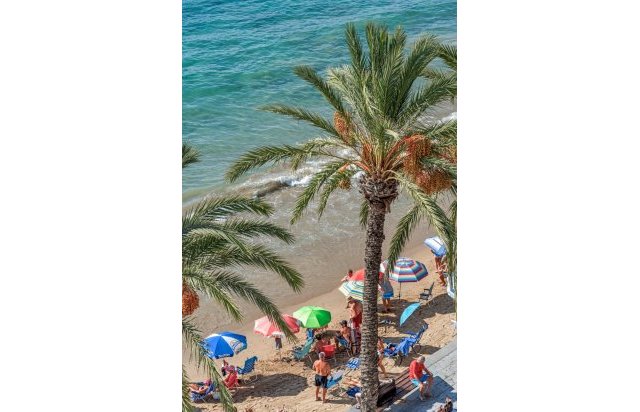 Reventa - Piso - Torrevieja