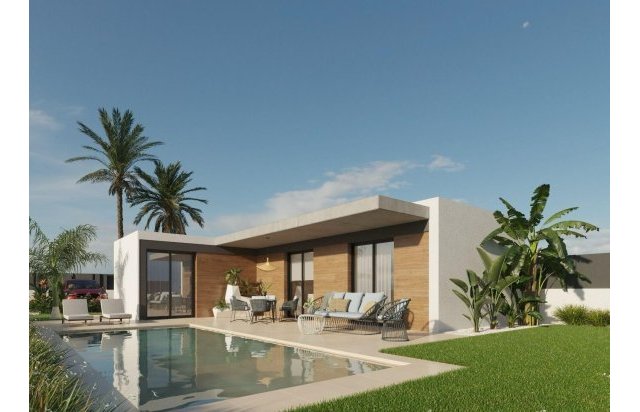 Obra nueva - Villa - Molina De Segura - Urb. La Quinta