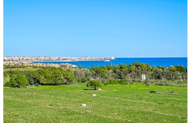 Resale - Penthouse - Orihuela Costa - Punta Prima