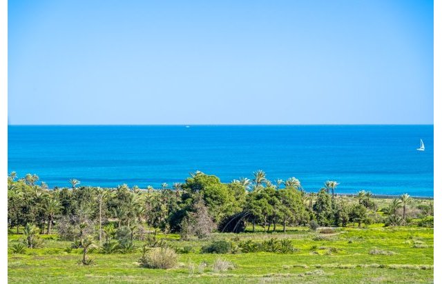 Resale - Penthouse - Orihuela Costa - Punta Prima