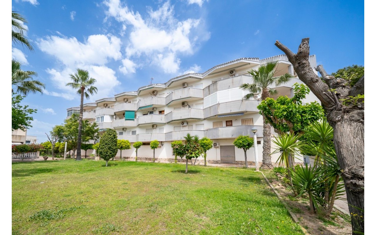 Reventa - Piso - Orihuela Costa - Cabo Roig
