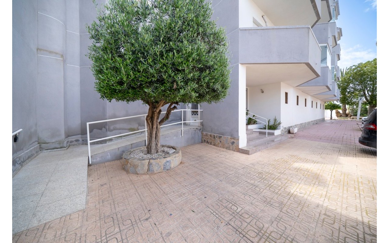 Reventa - Piso - Orihuela Costa - Cabo Roig