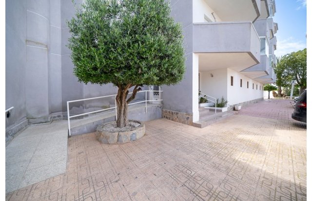 Reventa - Piso - Orihuela Costa - Cabo Roig