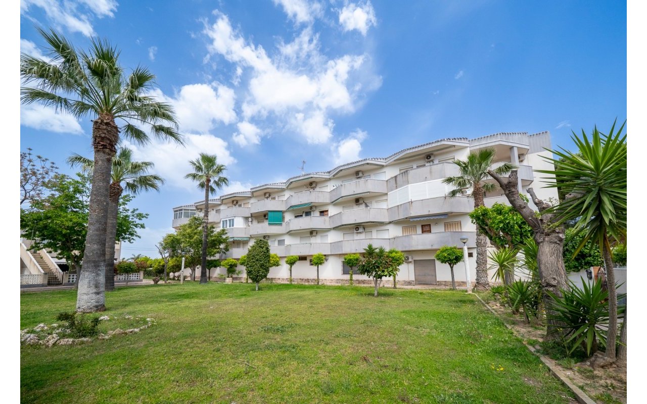 Reventa - Piso - Orihuela Costa - Cabo Roig