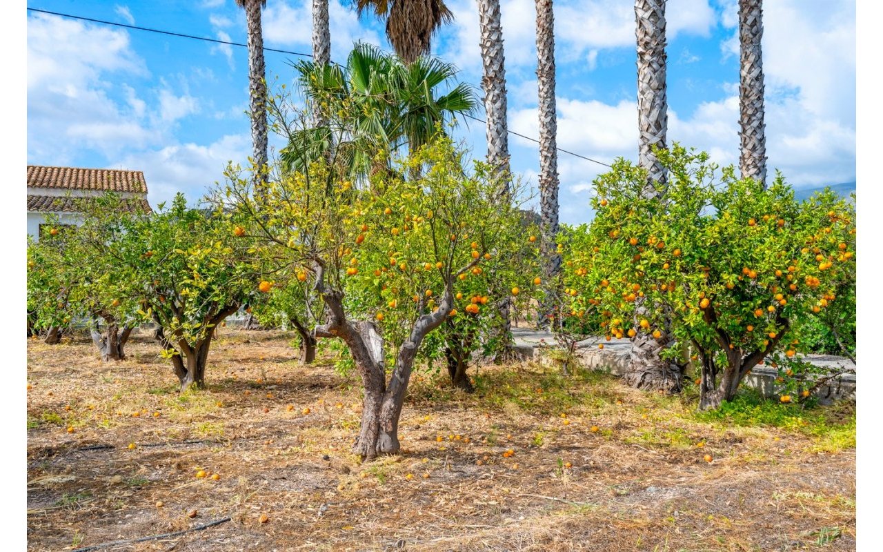 Resale - Country estate - La Nucía
