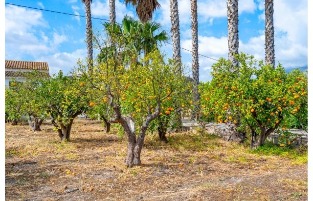 Resale - Country estate - La Nucía
